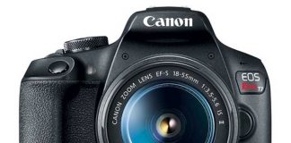 معرفی دوربین‌های ارزان کانن 2000D و 4000D و دوربین بدون آینه M50